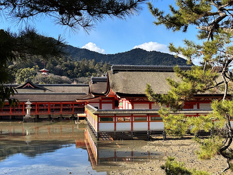 【即日募集】老舗旅館で学ぶ、本物の接客。